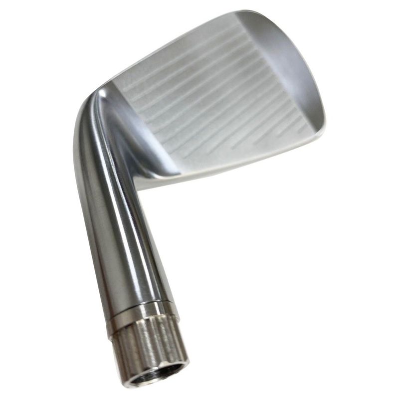Logo OEM di alta qualità Golf Iron Club Golf Head Entertainment 245g-295g ferro