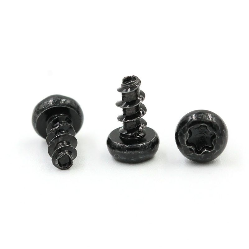 Torx a vite personalizzato testa di panno a vite in acciaio inossidabile Mini Tapping Screw per orologi