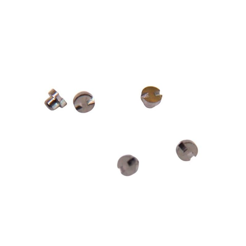 Agli accessori di orologio Lugs in acciaio inossidabile Hardware di precisione Torno automatico Accessori cintura connettore