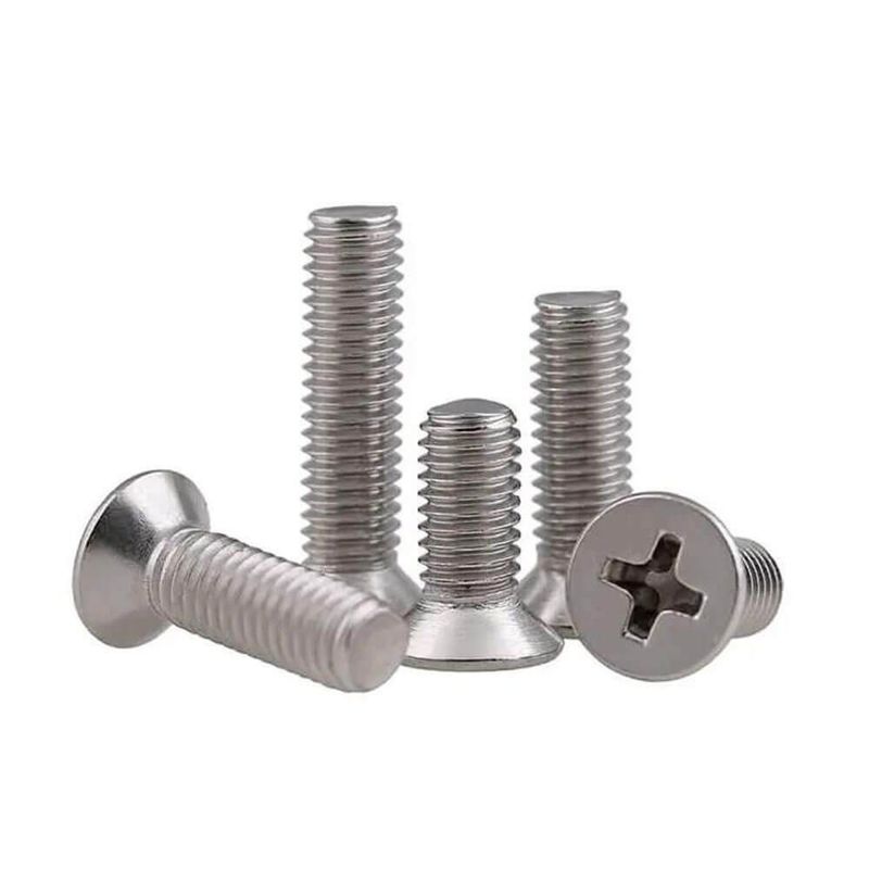 C1022 304 316 Testa Csk in acciaio inossidabile ISO7046 Cerniera a testa piatta
