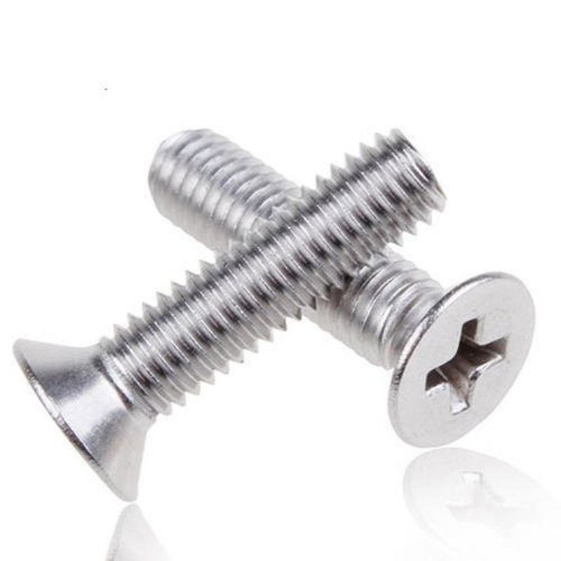 C1022 304 316 Testa Csk in acciaio inossidabile ISO7046 Cerniera a testa piatta